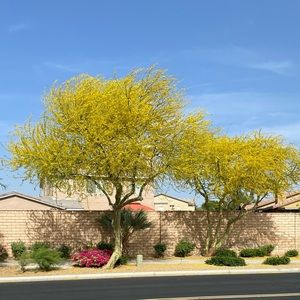 Meet your Posher, Mausu